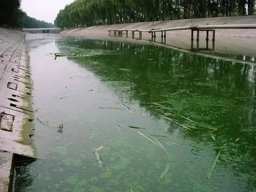 城市黑臭河道如何治理？河道黑臭水體治理思路(圖1)