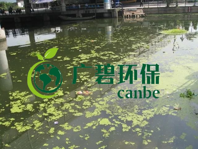 城市黑臭河道如何治理？河道黑臭水體治理思路(圖3)