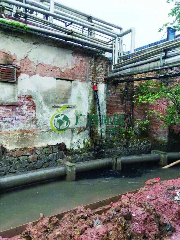 廣州海珠有污水直排河涌，3名涉案人員被行政拘留(圖1)